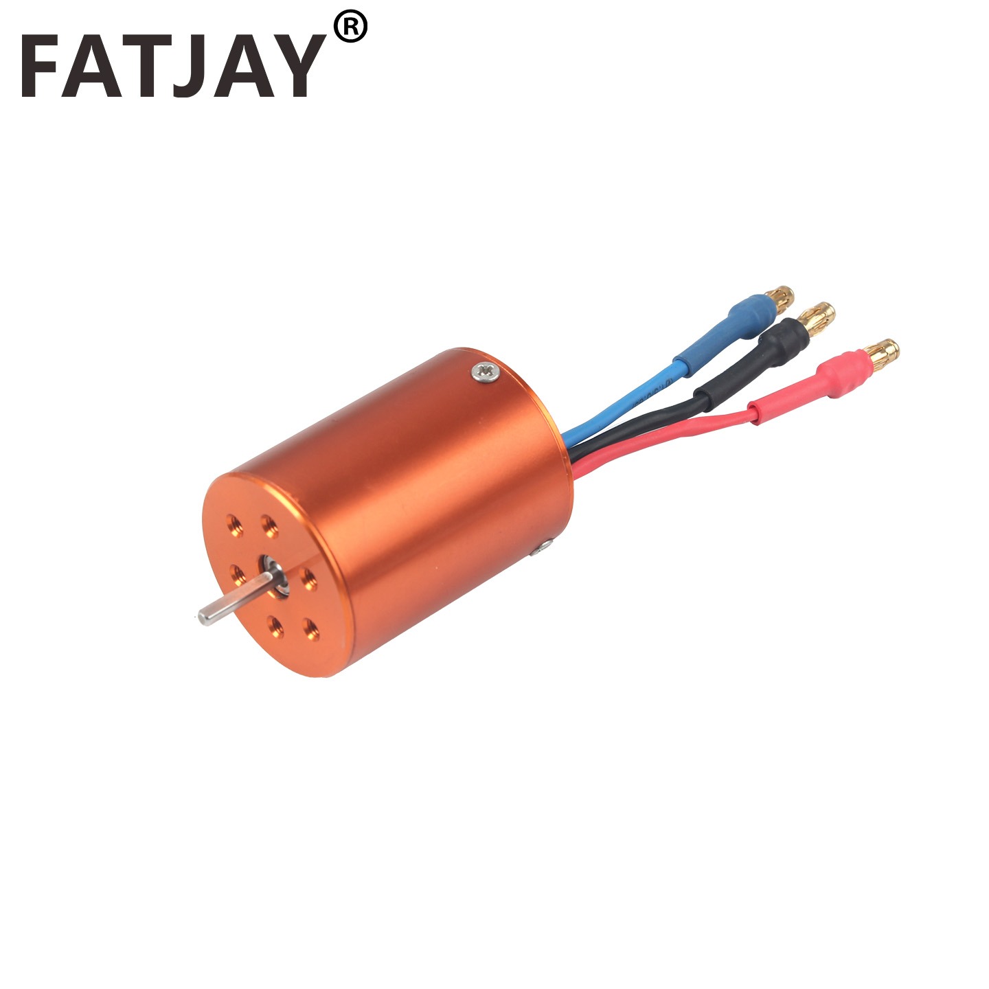 FATJAY 2838-2800KV 3800KV RC H - Rc Hobby Model 评论和价格